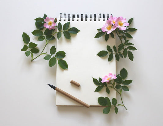 A letter to all the new moms out there